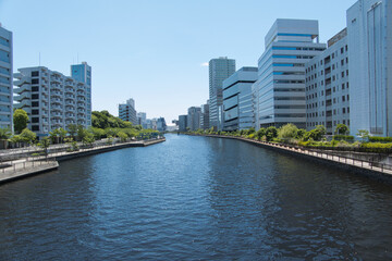 Tranquil Urban River Walk in Shinagawa, Tokyo