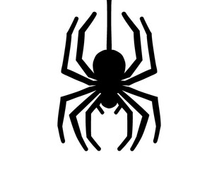 Spider silhouette, black spider vector illustration, isolated icon on white background
