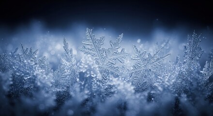 Close up of frost crystals forming intricate patterns during a cold winter day