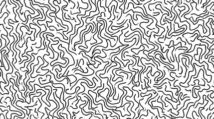 Fototapeta premium Intricate black and white line pattern design.