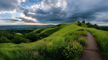 Scenic nature expanse reveals rolling hills with winding path. AI generated.