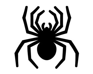 Spider silhouette, black spider vector illustration, isolated icon on white background
