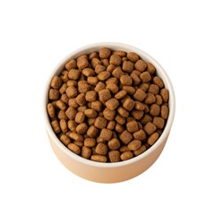 Bowl full of kibble dog food for pet nutrition and feeding time