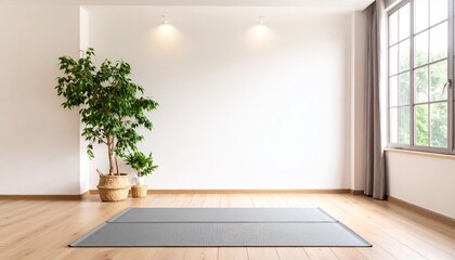 Meditation Room with White Wall