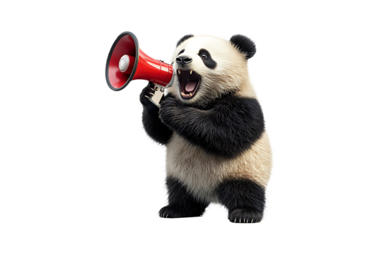 Panda with Megaphone high quality realistic image