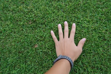 Connection with nature: hand touching lush green grass in relaxing outdoor setting