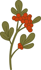 Summer Flower items hand drawn illustration