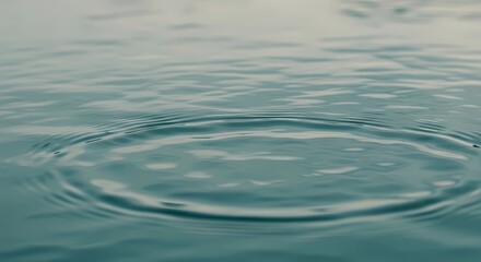 Rippling Water: A serene image of concentric ripples expanding outwards on the surface of tranquil water, creating a sense of calmness and natural beauty.