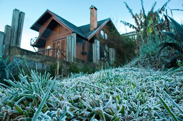 snow in the grass