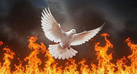 Fototapeta premium White Dove Soaring Above Fiery Inferno, Dramatic Religious Symbolism - High-quality stock image for commercial use