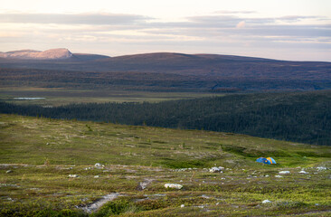 Two colorful camping tents set up in the serene morning light of the Dalarna mountains, surrounded by lush tundra and expansive plains. Wild camping in Idre Sweden, Städjan Nipfjället nature reserve