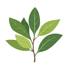 My Simple flat 2D illustration of a icon bay leaves isolated on a white background, vector 2D design, icon, flat 2d illustration art, My vector design