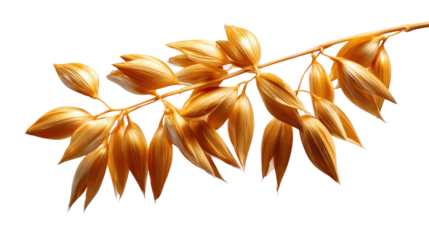 Golden Wheat Stalk in Full Bloom: A detailed photograph captures a single wheat stalk laden with ripe golden grains, representing abundance, harvest, and the beauty of the agricultural bounty.
