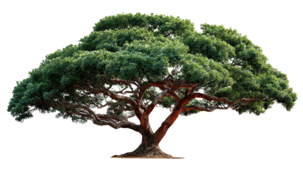 Majestic Tree of Life: A sprawling, robust tree, its branches laden with lush green foliage, stands tall and proud against the backdrop.