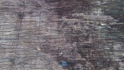 Distressed plank shows rustic wood grain detail and rich textured surface imperfections.