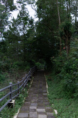 Stone stairway descends through lush foliage and trees, creating a secluded, natural pathway