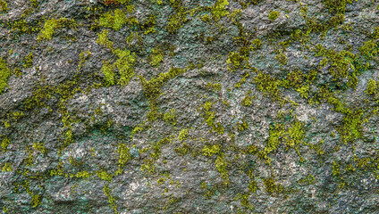 Textured surface of stone covered in moss and lichen, creating a natural, raw background.