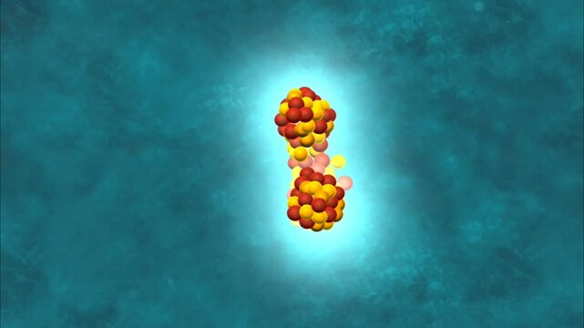 Induced fission chain reaction