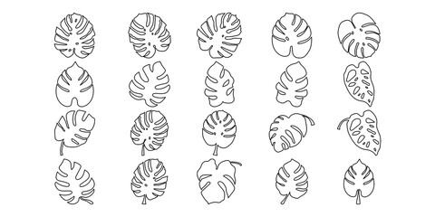 Tropical Monstera Leaf Line