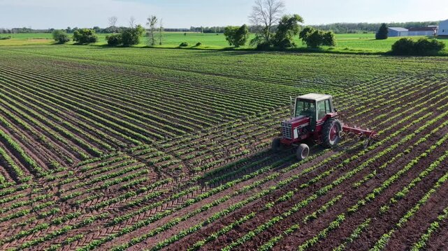 A farmer tills a field of organic soybeans in Northeast Wisconsin