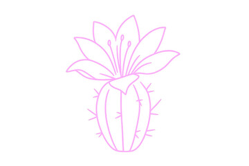 Minimalist pink cactus with blooming flower, line art illustration isolated on transparent background