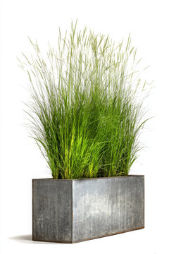 Metal trough planter with tall grasses creates vibrant urban garden atmosphere
