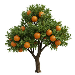 3D realistic orange tree with fruits for agriculture, farm, nature, or gardening concept isolated on a transparent background, png, cutout