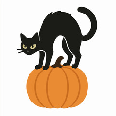 Black cat on pumpkin halloween spooky autumn festive