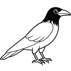 Obraz premium Cute crow outline art illustration coloring page book for kids
