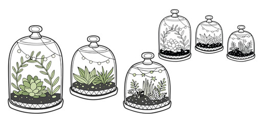 Delicate hand drawn terrarium illustrations featuring various green succulents and charming decorative string lights elements.