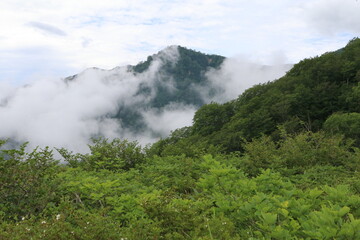 白馬 小遠見山の風景。
