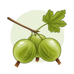 Green gooseberries on a branch isolated on transparent background