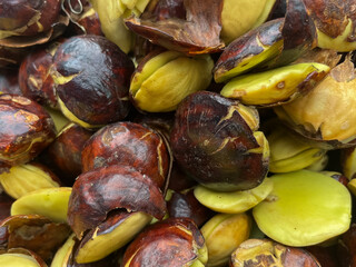 A close-up view of jengkol (dogfruit) beans, showcasing their unique appearance.
