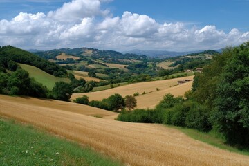 Rolling wheat fields and green hills under a cloudy blue sky on a sunny day