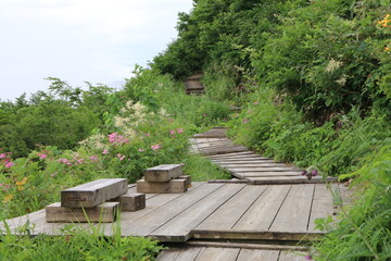 白馬 小遠見山の風景。