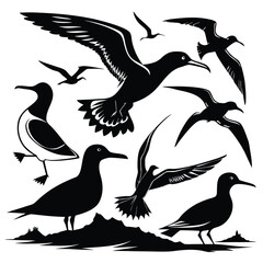 Collection of silhouetted seabirds in various poses demonstrating flight and perching ideal for nautical or wildlife designs