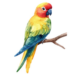 My Watercolor illustration with parrot on branch painting isolated on a white background, illustration, AI painting design, vector set, eps format, My illustration design