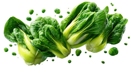 Fresh Bok Choy: A vibrant display of crisp, green bok choy leaves, perfect for culinary creations, presented in a clean and visually appealing way.