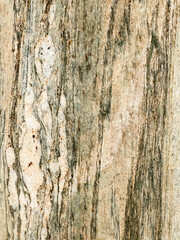 Obraz premium Stunning natural stone surface with distinctive patterns and textures in warm tones