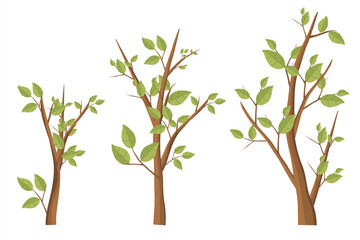 Tree Vector Collection with Leaves. Vector set of trees with green leaves.