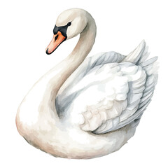 My Watercolor illustration with swan painting isolated on a white background, illustration, AI painting design, vector set, eps format, My illustration design