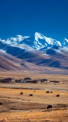 The Majestic Tibetan Plateau: A Journey Through Vast Landscapes and Timeless Traditions
