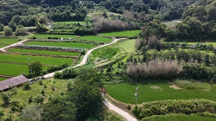 It shows rural farmland and curved rural roads. It features green paddy fields and a traditional...
