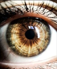 Iris photography by Rick 10