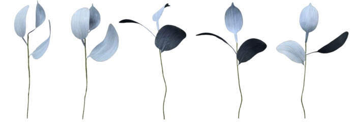 A collection of sky blue round leaves made of paper, with transparency so they can be edited.