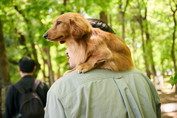 犬を肩に乗せた男性の後ろ姿