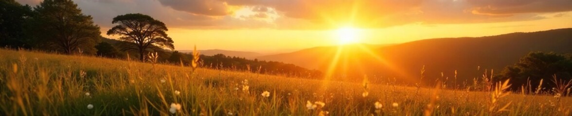 Golden Hour Serenity Peaceful Sunrise Landscape, Joyful Nature Scene, Perfect for Wellness & Wellbeing Content