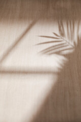Wood texture background with natural shadows and silhouettes of leaves from natural light streaming through a window.