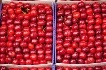 Fresh cherries displayed at a market in summer season