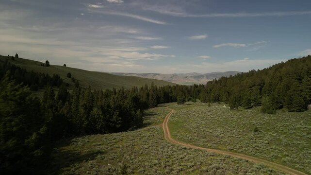 Low aerial over Salmon National Forest meadows and roads in Leadore Idaho in summer